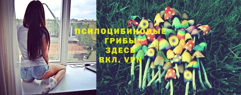 Псилоцибиновые грибы MAGIC MUSHROOMS Артёмовск